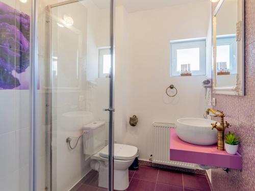 La salle de bains est pourvue d'un lavabo, de toilettes et d'une douche. dans l'établissement Pensiunea Casuta cu Trandafiri 2, à Slănic