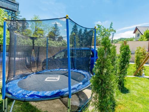 a trampoline in a batting cage in a yard at Pensiunea Casuta cu Trandafiri 2 in Slănic