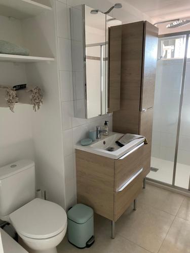 une salle de bain avec un lavabo, des toilettes et un miroir dans l'établissement Appartement rooftop, première ligne, vue mer, 50m de plage du Midi, à Cannes