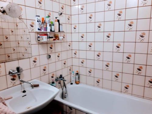 a bathroom with a sink and a bath tub at Ubytovanie u Marty in Veľký Meder