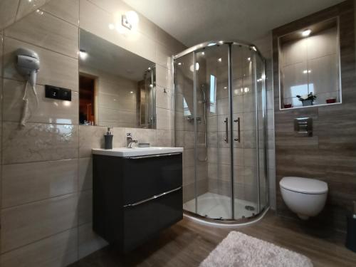 bagno con doccia, lavandino e servizi igienici di Wynajem u Patryka a Poronin