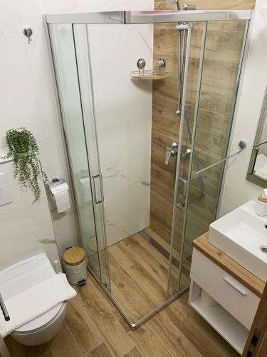 a bathroom with a shower and a toilet and a sink at Villa Franko Baška Voda in Baška Voda