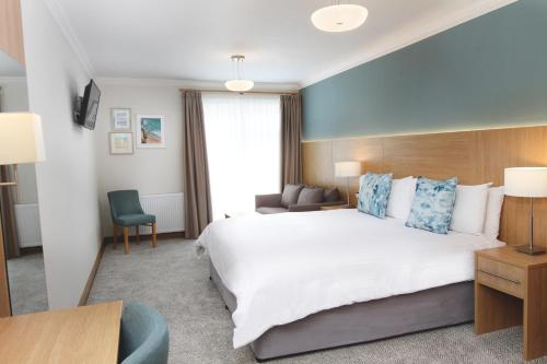 Family Room with Sofa Bed (2 Adults + 1 Child)