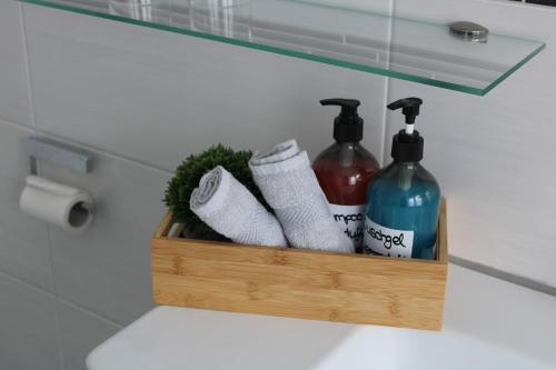 ein Badezimmer mit einem Kleiderständer mit Toilettenpapier und Reinigungsmitteln in der Unterkunft Bachmeier's Gasthaus Traube Niederfell in Niederfell