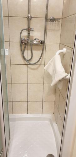 a bathroom with a shower with a white towel at Logis Hôtel & Restaurant Le Fleurance in Fleurance