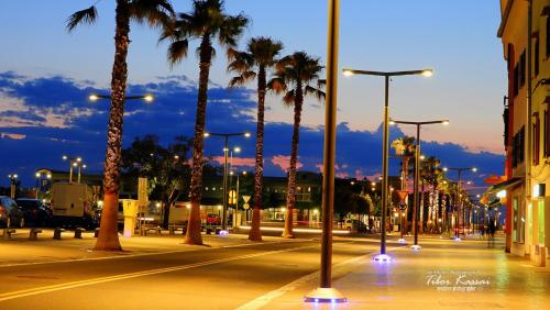 a city street with palm trees and lights at night at Koper2stay Apartments in Koper