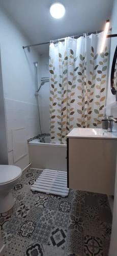 ein Badezimmer mit einer Dusche, einer Badewanne und einem WC in der Unterkunft LE LIBERTE - Studio cabine à 2 pas de la plage et du port in Saint-Cyprien