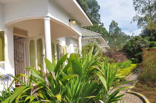 Jt Cottages Ntungamo – Photos 4