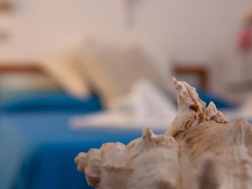 Galería fotográfica de Hotel Merano en Misano Adriatico