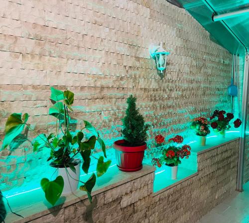 صورة لـ Relax House في باري