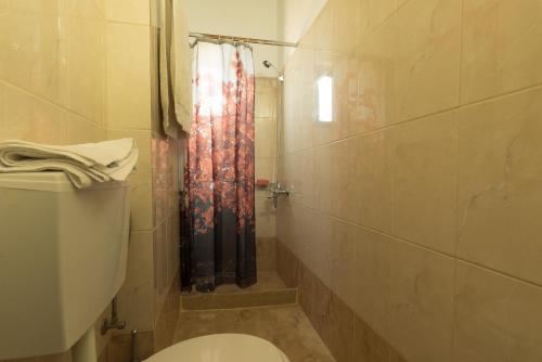 a bathroom with a toilet and a shower at Sunset Home Crete in Paránimfoi