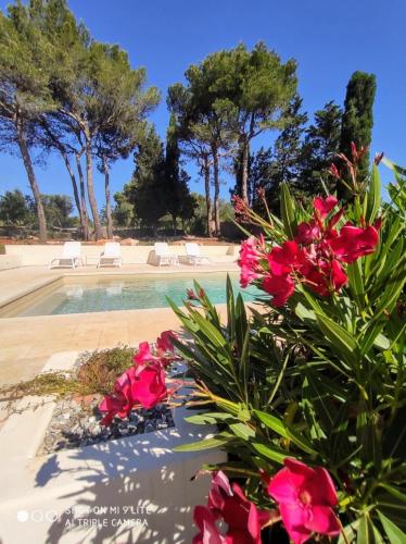 a pool with pink flowers and trees in the background at Casa 34 in Ceglie Messapica