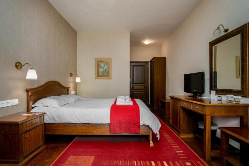 a bedroom with a bed and a mirror and a television at Hotel Giamandes in Elati Trikalon