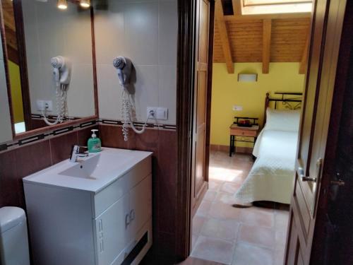 een badkamer met een wastafel en een spiegel bij Apartamentos Rurales La Viña in Cangas de Onís