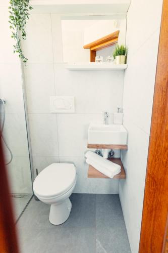 Kupatilo u objektu Frankovič Bed&Breakfast