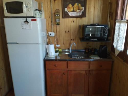 a kitchen with a refrigerator and a sink and a microwave at Cabaña Las Nubes in Río Ceballos