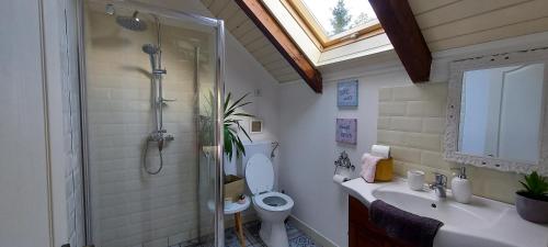 een badkamer met een douche, een toilet en een wastafel bij Casa Eggo in Rausor