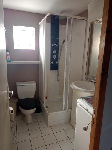 une salle de bain avec une douche, des toilettes et un lavabo dans l'établissement La p'tite maison, à Bordeaux-Saint-Clair
