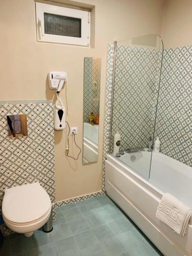 a bathroom with a toilet and a tub and a sink at Vila Montana Valiug in Văliug
