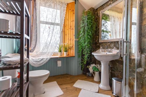 a bathroom with a sink and a toilet at Drumfearne Guesthouse & Tearoom in Carradale