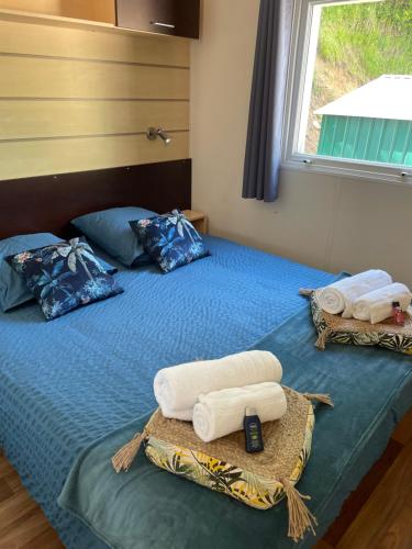 a bedroom with two beds with towels and a window at détente au cœur de la ferme in Lacroix-sur-Meuse