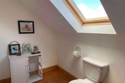 a bathroom with a white toilet and a skylight at Annies Meadow. in Knock