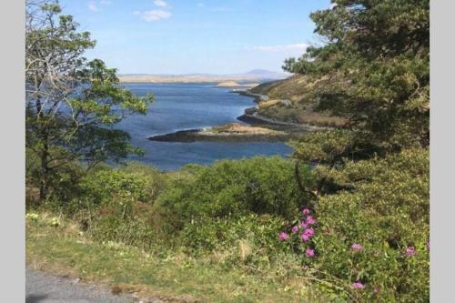 a view of a lake from a hill with flowers at Annies Meadow. in Knock
