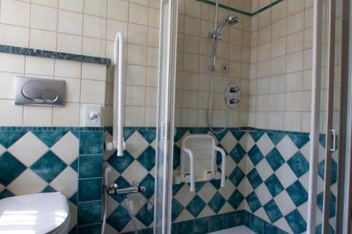 a bathroom with a shower with a toilet and a sink at Villa Fridau resort in Gressoney-Saint-Jean