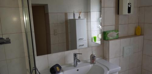 a bathroom with a sink and a mirror at Ferienhaus Kühnhaide im Erzgebirge in Kühnhaide