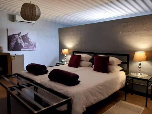 Легло или легла в стая в Eldorado Lodge