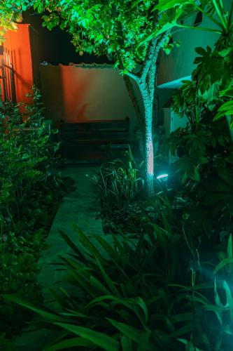 Κήπος έξω από το The house Dimitra Nea Fokaia
