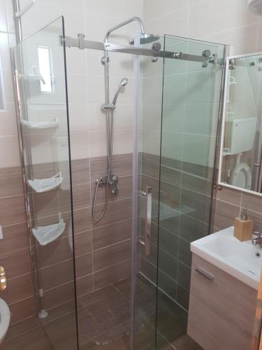 ein Bad mit einer Glasdusche und einem Waschbecken in der Unterkunft Kuća za odmor Andrej in Perućac