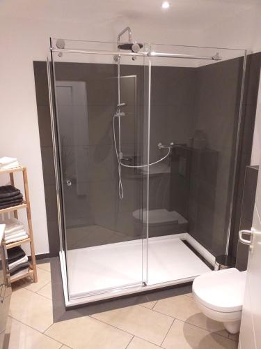 a glass shower in a bathroom with a toilet at Ferienwohnung Am Michelsbach in Boppard
