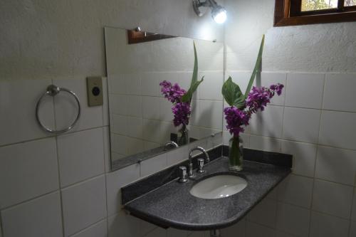 un lavabo con flores púrpuras en un jarrón. en Espaço Mascattes Pousada, en Serra do Cipo