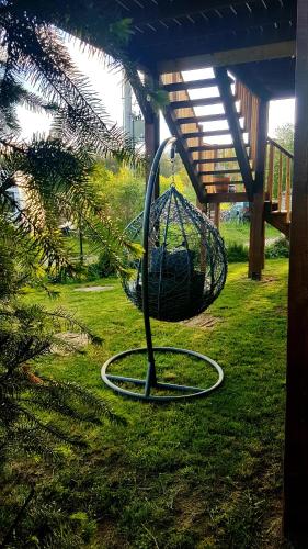 a swing in the grass in a yard at Dziewanna in Brzeziniec