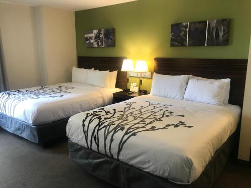 Легло или легла в стая в Sleep Inn Raleigh Durham Airport