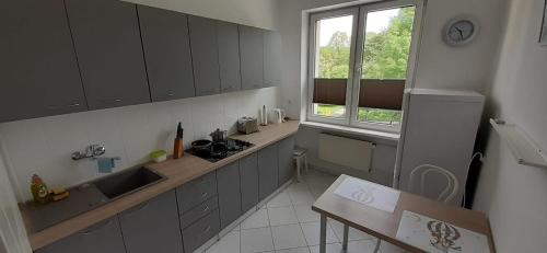 uma cozinha com armários cinzentos, um lavatório e uma janela em Apartament Roma Gizycko em Giżycko