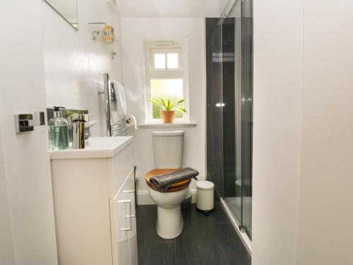 a bathroom with a toilet and a sink and a shower at Ellanderroch in Glasgow