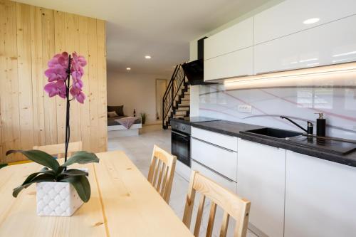 Kuchyňa alebo kuchynka v ubytovaní Pr `Agotnik Apartments & Rooms Bohinj