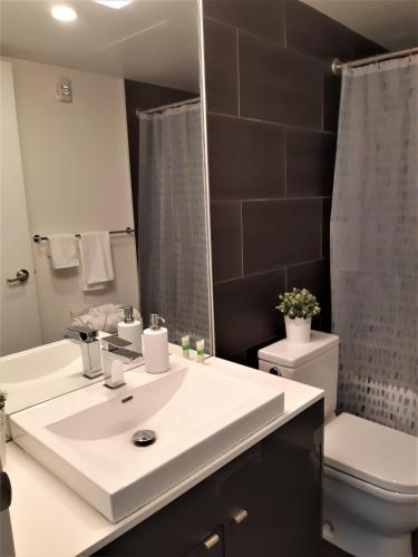 a bathroom with a sink and a toilet and a mirror at Luxury skyline condo in downtown FREE 24/7 parking in Winnipeg