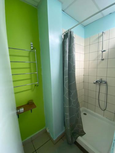 Vonios kambarys apgyvendinimo įstaigoje Mahana Lodge Hostel & Backpacker