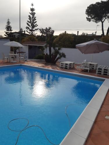 a large blue swimming pool with chairs and an umbrella at B&B Villa Giovanni in Casal Palocco