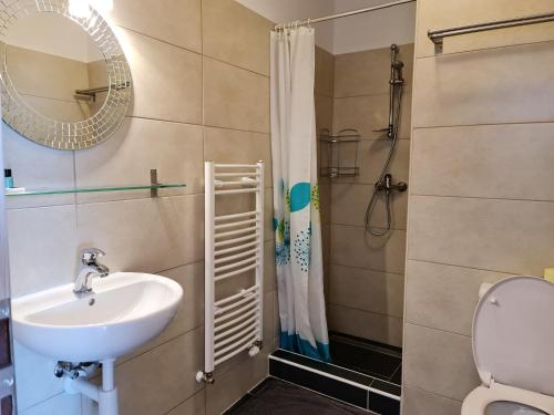 een badkamer met een wastafel, een spiegel en een toilet bij Pension Sonnwendgasse in Ternitz