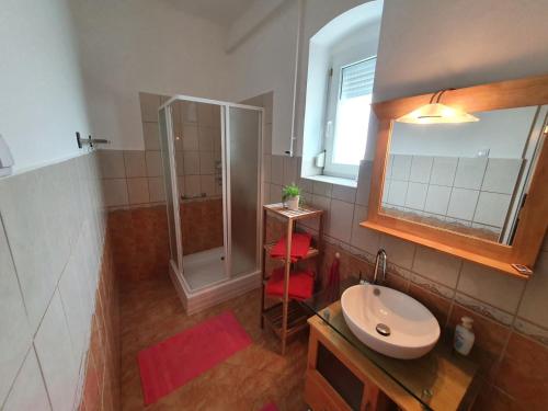 y baño con ducha y lavamanos. en FaGréCi en Balatonmáriafürdő