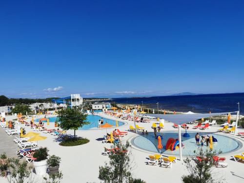 grupa ludzi przy basenie nad oceanem w obiekcie Five bedroom house near sandy beach Villa Major w Medulinie