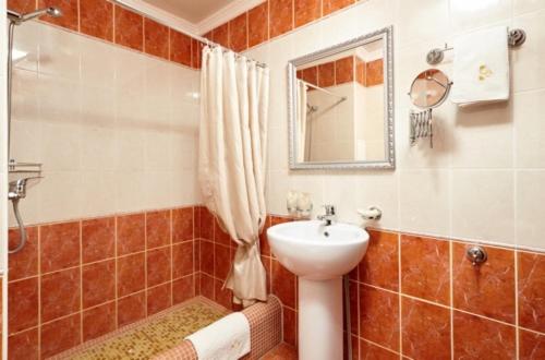 a bathroom with a sink and a toilet and a shower at Rublev Hotel in Gorodets