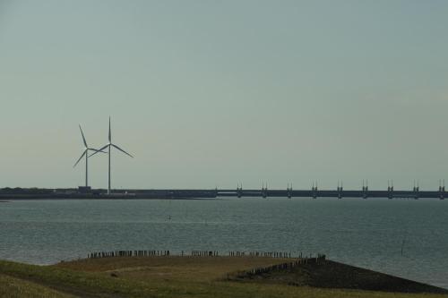Zeeuwse Zot – Photos 3