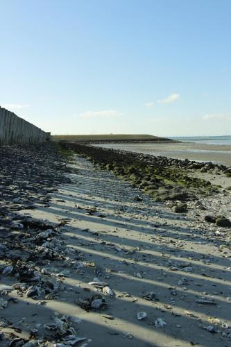 Zeeuwse Zot – Photos 4
