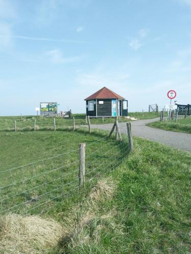 Zeeuwse Zot – Photos 5