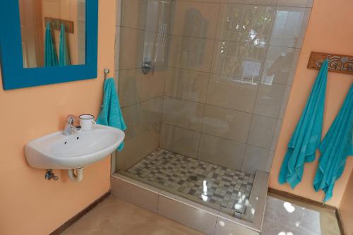 a bathroom with a shower and a sink at Tamarisk Bed & Breakfast in Durban